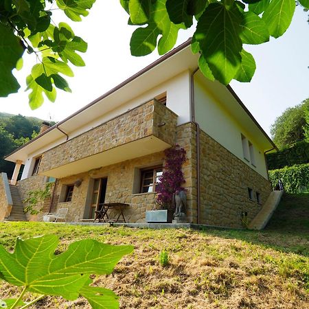 Loft 80 Mts En Un Entorno Natural. Mieres  Eksteriør billede