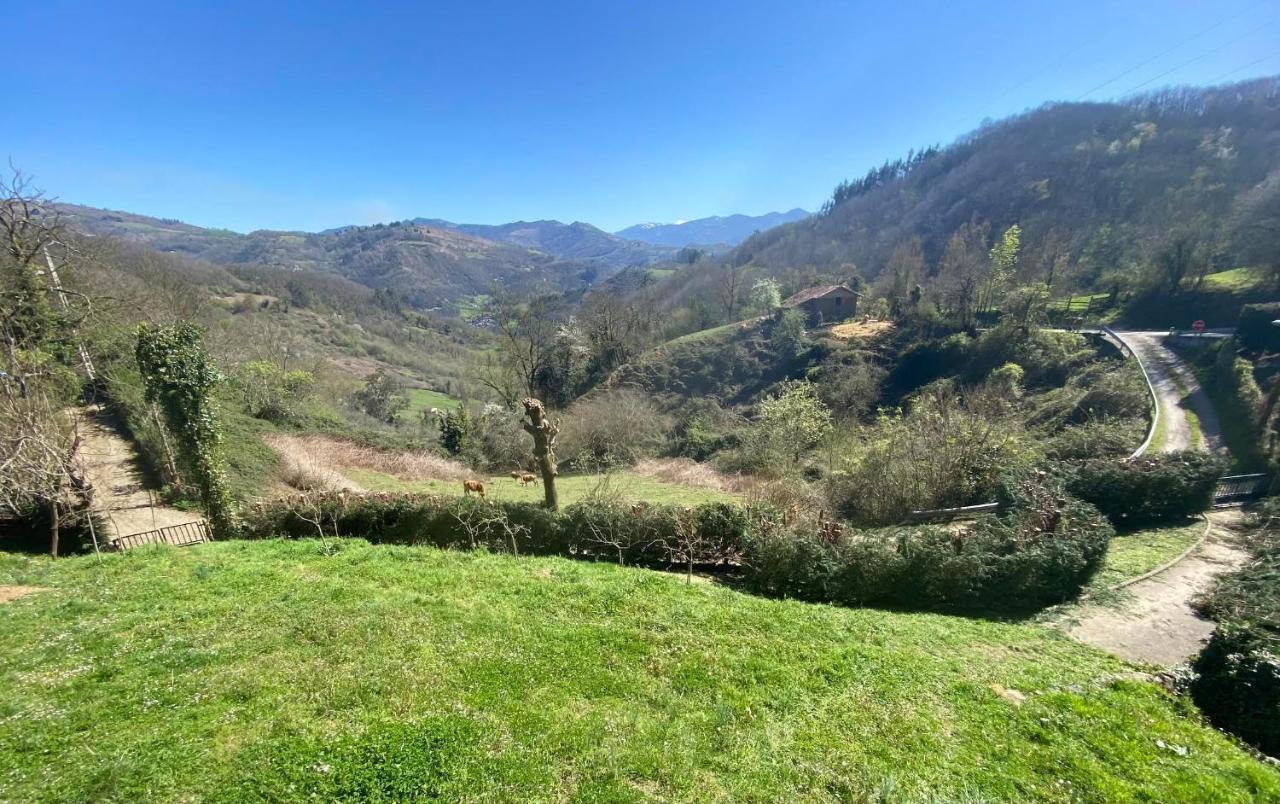 Loft 80 Mts En Un Entorno Natural. Mieres  Eksteriør billede