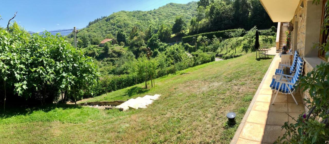 Loft 80 Mts En Un Entorno Natural. Mieres  Eksteriør billede