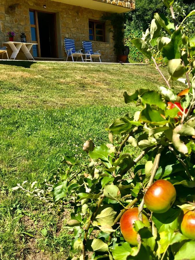 Loft 80 Mts En Un Entorno Natural. Mieres  Eksteriør billede